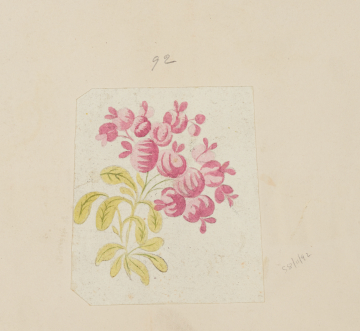 image Image 2 for 58/11/92