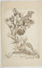 image Image 2 for 58/11/18