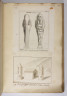 image Image 1 for Vol 94/45