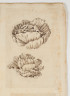 image Image 2 for 58/11/6