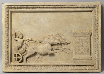 image SC64