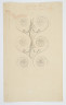 image Image 4 for 42/3/25