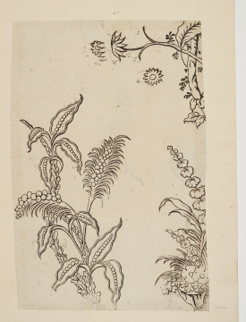 image Image 2 for 58/11/41