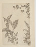 image Image 2 for 58/11/41