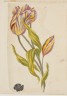 image Image 1 for 58/11/72