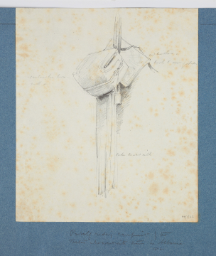 image Image 1 for 44/1/42
