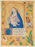 image Image 17 for Vol 136
