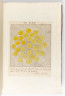 image Image 2 for Vol 97/30