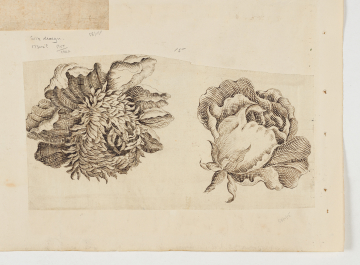 image Image 1 for 58/11/15