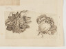image Image 1 for 58/11/15