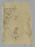 image Image 1 for Vol 42/46