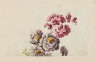 image Image 2 for 58/11/93