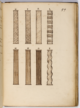 image Image 113 for Vol 1