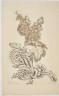 image Image 1 for 58/11/26