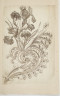 image Image 2 for 58/11/19