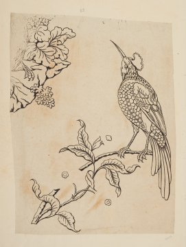 image Image 1 for 58/11/33