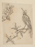image Image 1 for 58/11/33