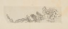 image Image 1 for 58/11/43