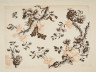 image Image 1 for 58/11/50