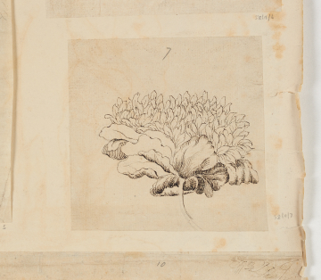 image Image 2 for 58/11/7