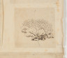 image Image 2 for 58/11/7