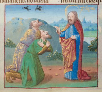 image Image 213 for Vol 139