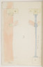 image Image 2 for Vol 89/17