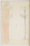 image Image 1 for Vol 89/17