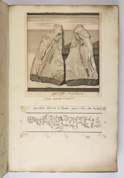 image Image 1 for Vol 94/7