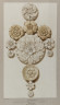 image Image 2 for Vol 82/102