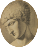 Head of the Capitoline Antinous.