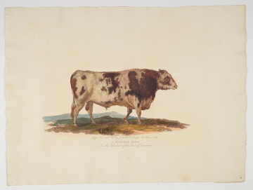 image Image 2 for 57/14/4