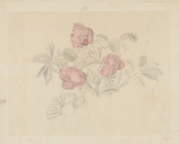 image Image 1 for 58/11/73
