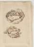 image Image 1 for 58/11/6