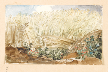 image Image 69 for Vol 163