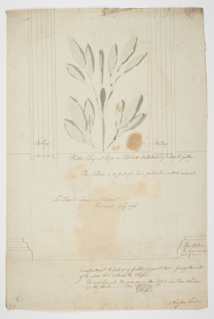 image Image 1 for 78/2/43