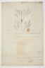 image Image 1 for 78/2/43