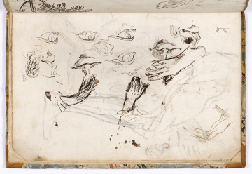 image Image 2 for Vol 92/13