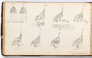 image Image 29 for Vol 161