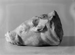 Fragment of a statue or deeply carved relief depicting Victory slaying a young bull or cow