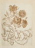 image Image 2 for 58/11/20