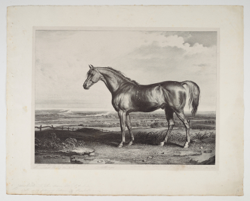 image Image 1 for 57/14/15