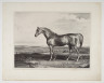 image Image 1 for 57/14/15