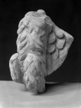 Fragment of an eagle from a Roman altar or piece of furniture