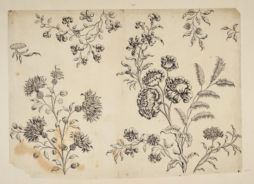 image Image 1 for 58/11/44