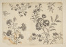 image Image 1 for 58/11/44