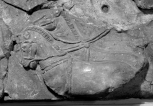 FRAGMENT: TWO HARNESSED HORSES WALKING LEFT