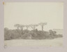 image Image 1 for 44/12/17